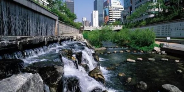 河道景觀設(shè)計(jì)秘籍：駁岸、親水、綠化、綜合治理、生態(tài)修復(fù)及植物選擇